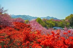 완산공원