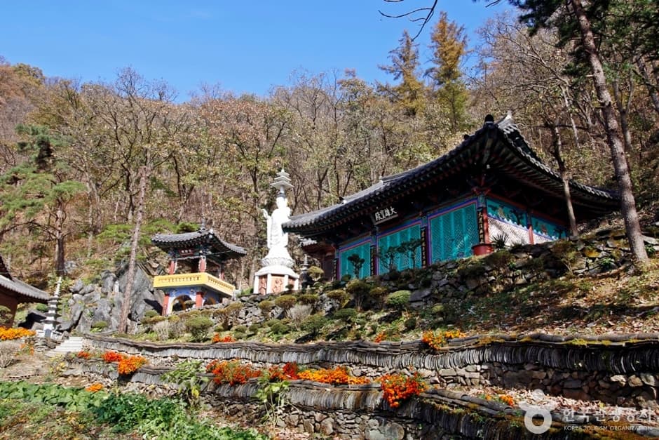 정심사(충주)