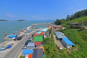 노력도