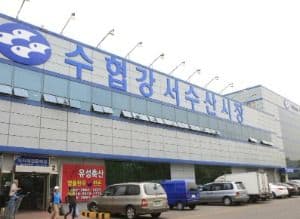 Suhyup Gangseo Seafood Wholesale Market (수협 강서수산시장)