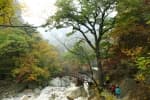 Seoraksan National Park (Southern Section) (설악산국립공원 (남설악))