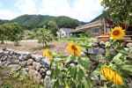 Samcheok Deokpunggyegok Valley Village (삼척 덕풍계곡마을)
