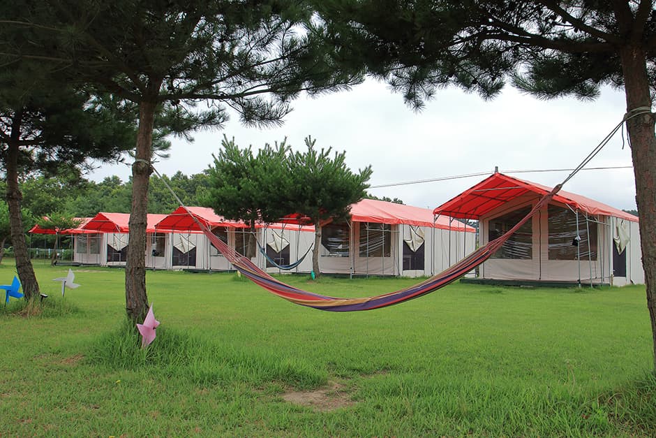 파라독스캠핑