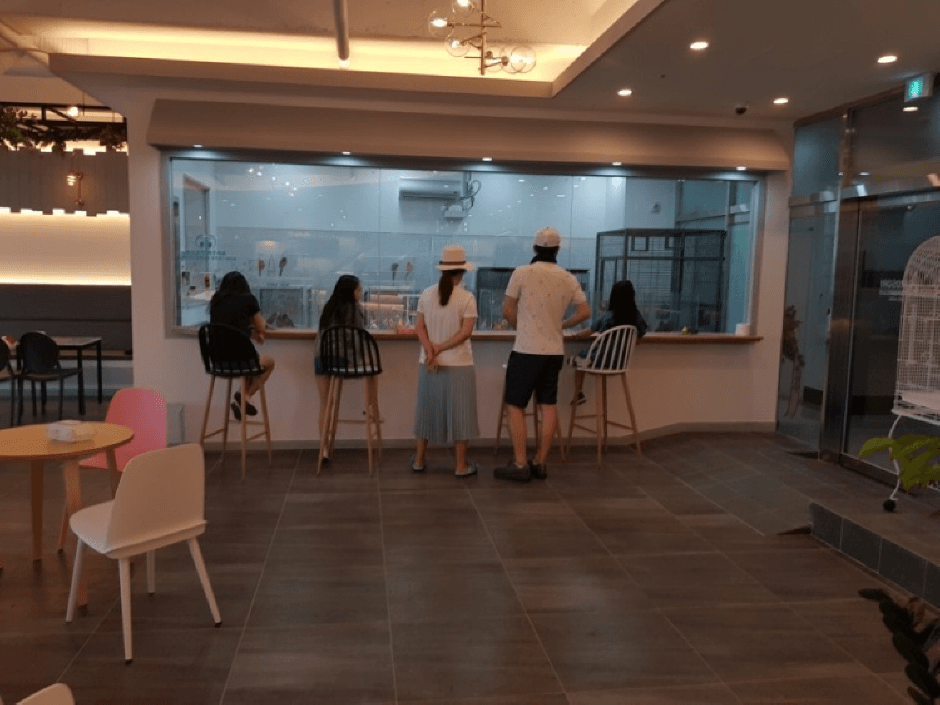 버드리