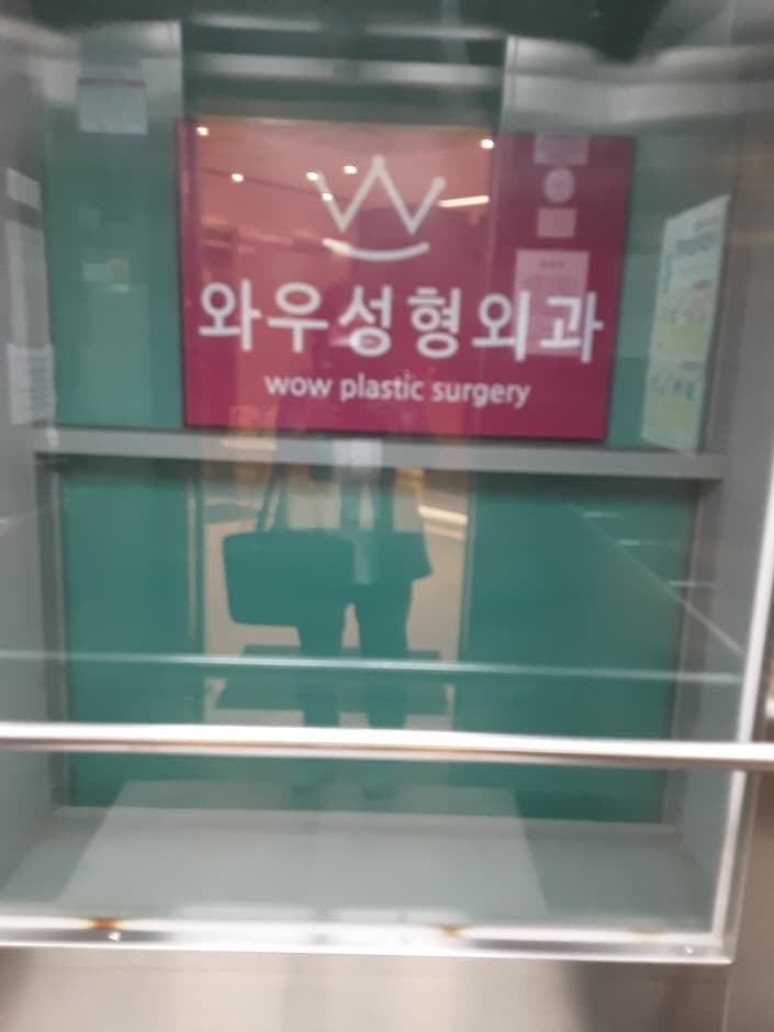 와우성형외과