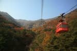 Geumosan Provincial Park (금오산도립공원)