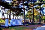 Uljin Wangpicheon Park (울진 왕피천 공원)