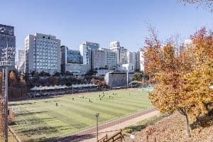 대치유수지체육공원