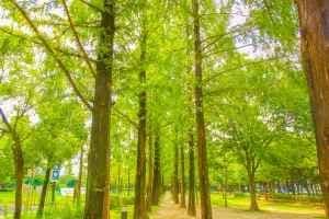 호산공원