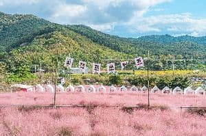 꽃객프로젝트