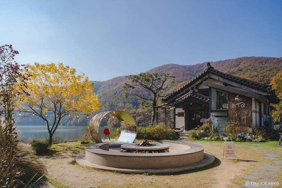 호수정감(더 정감)
