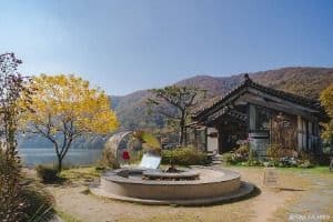 호수정감(더 정감)