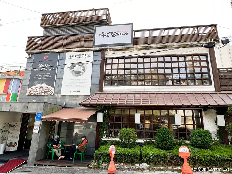 송도갈매기
