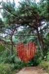 Haenam Forest Arboretum (4est 수목원)