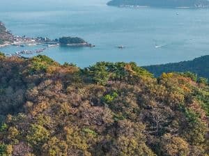 망산