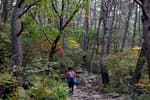 Gyeongju Namsan Mountain (경주 남산)