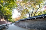 Deoksugung Stone Wall Path (덕수궁 돌담길)