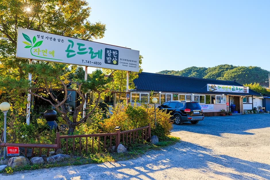 자연애곤드레