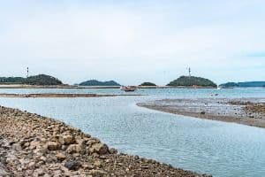 도비도항