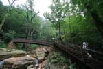 Seoraksan Heullimgol Valley (설악산 흘림골)