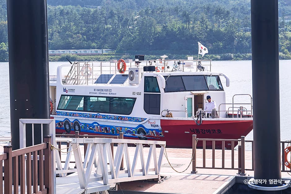 낙동강 생태탐방선