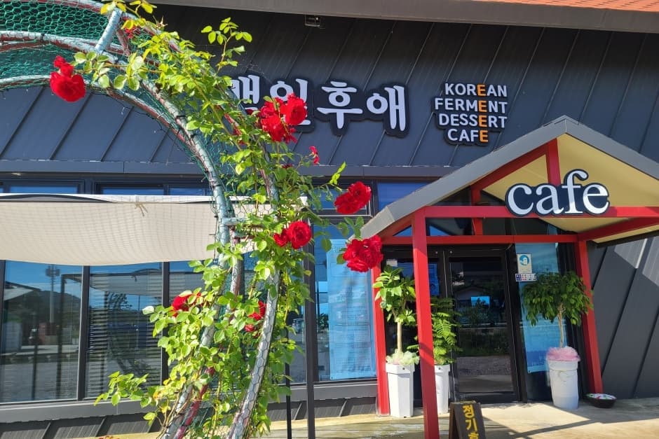 백일후애