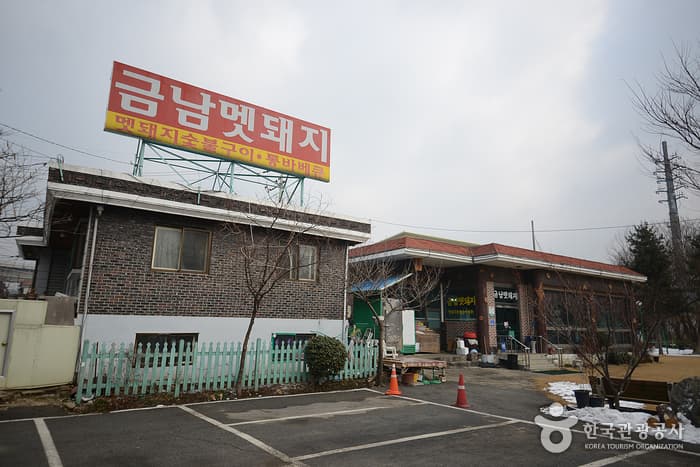 금남멧돼지
