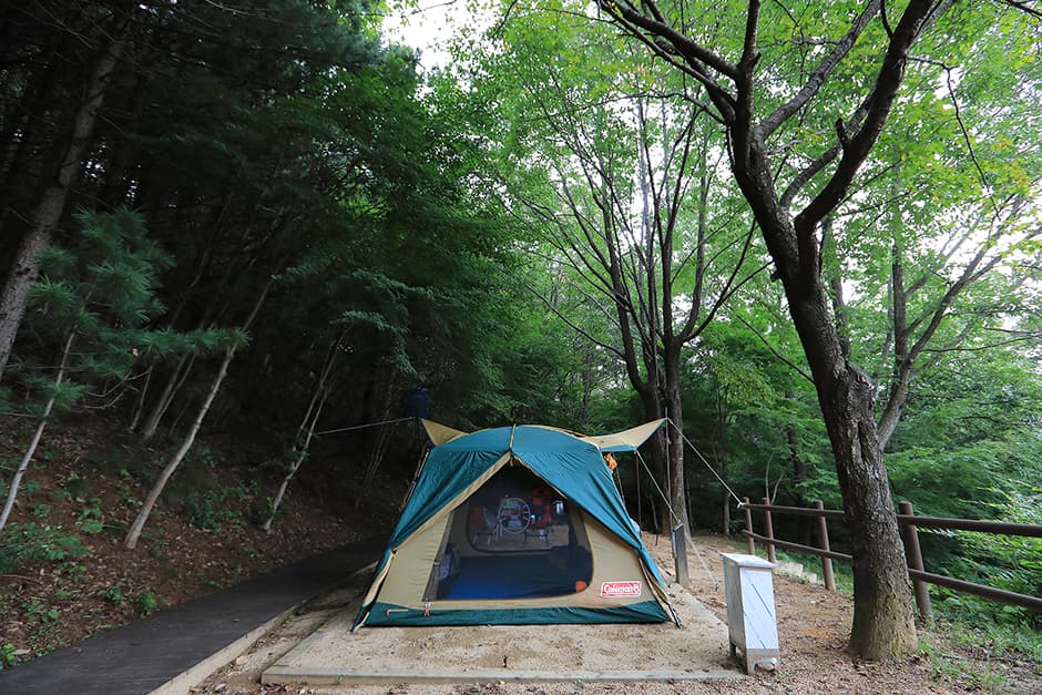 가야산국립공원 백운동 자동차야영장