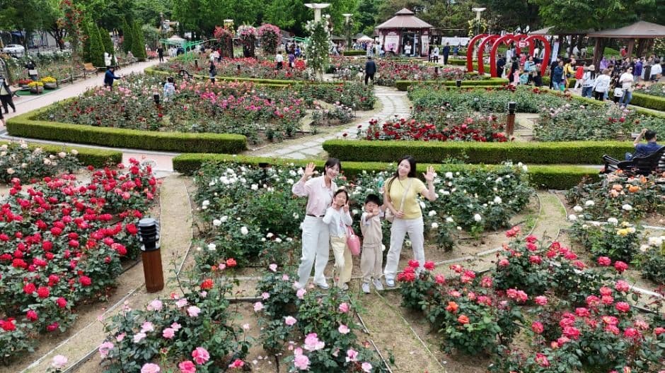 장미꽃 필(Feel) 무렵