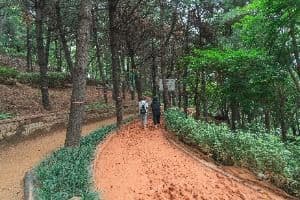 수진공원