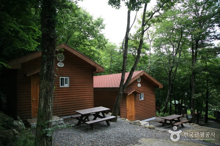 Geoje Recreational Forest (거제자연휴양림)