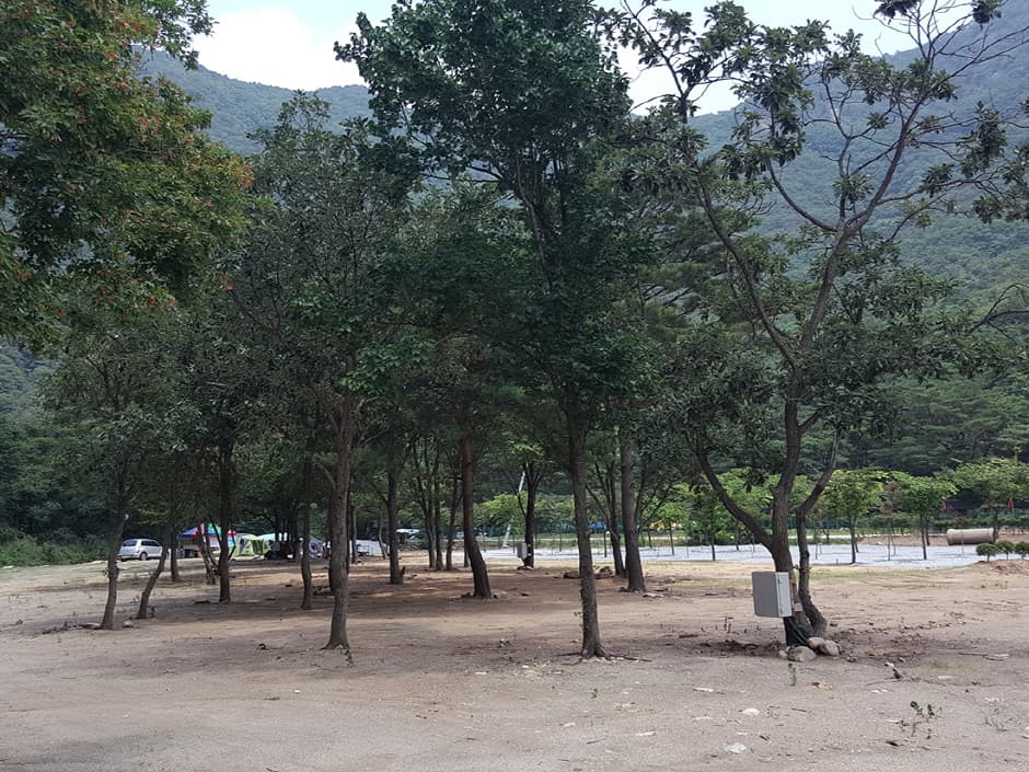 솔밭캠프
