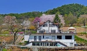 제천통나무펜션