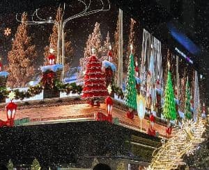 강남 미디어 윈터페스타