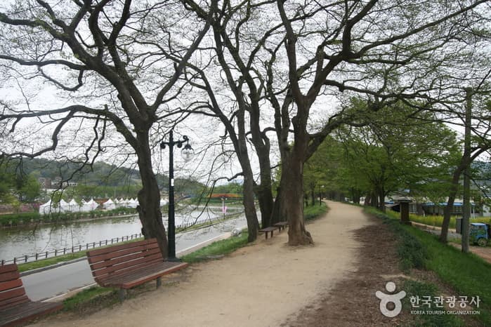 대나무 숲에서 즐기는 캠핑여행