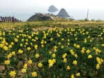Oryukdo Islets (Busan National Geopark) (오륙도 (부산 국가지질공원))