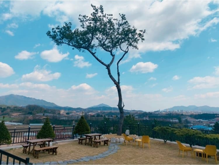 하늘29