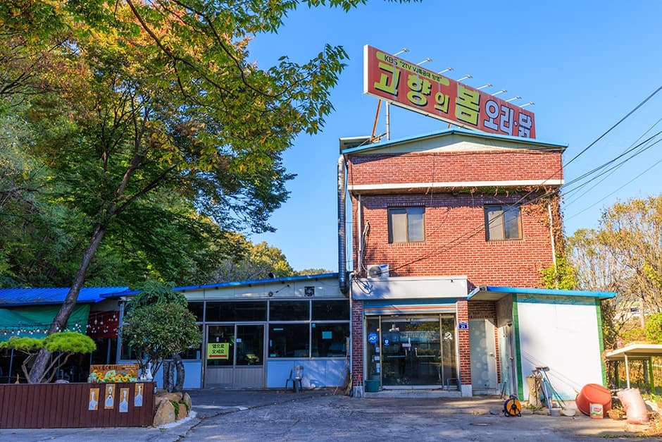 고향의봄