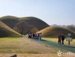 Cheonmachong Tomb (Daereungwon Ancient Tombs) (천마총(대릉원))