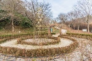 도음산 산림문화수련장