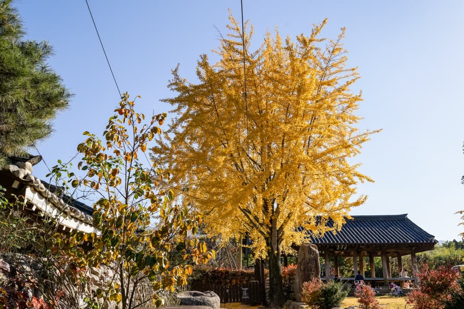 Hanbam Village (한밤마을)