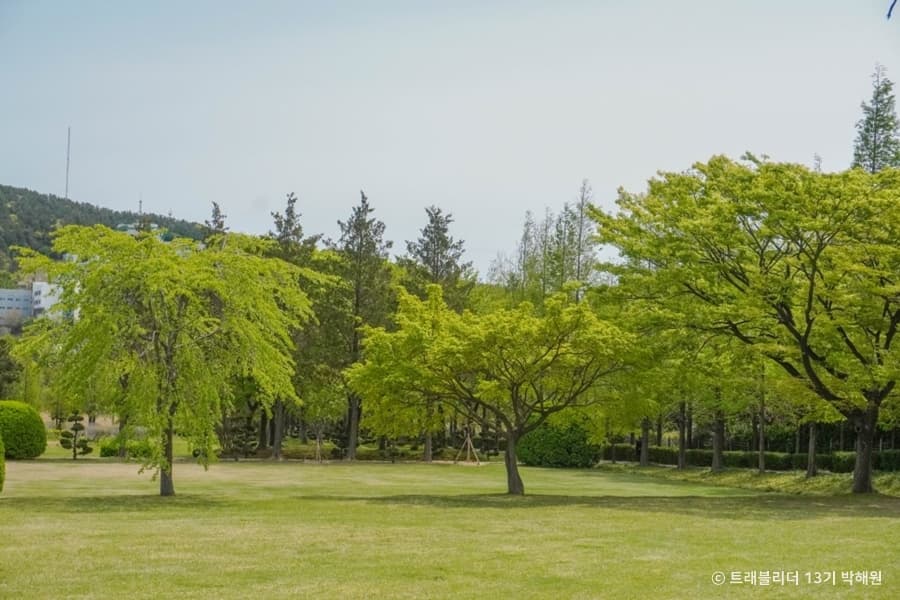 대연수목전시원