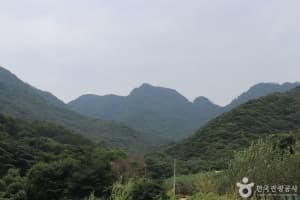 악휘봉