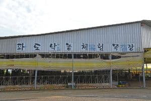 파도목장