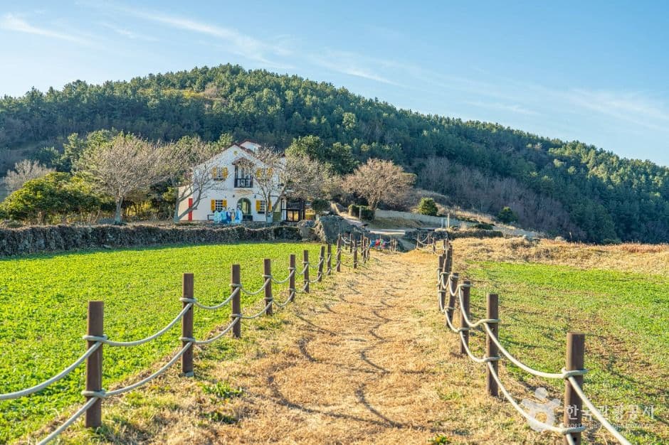 봄의 왈츠 드라마 촬영지