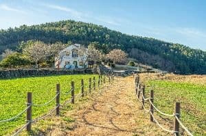 봄의 왈츠 드라마 촬영지