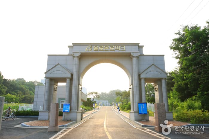 Solomon Law Park (솔로몬로파크)