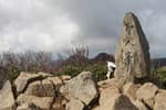 Seonginbong Primeval Forest [National Geopark] (성인봉 원시림 (울릉도, 독도 국가지질공원))
