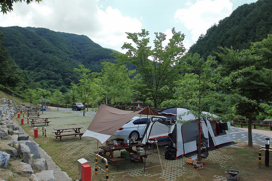 좌구산오토캠핑장