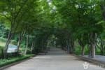 Gyeyangsan Mountain Trail (계양산둘레길)